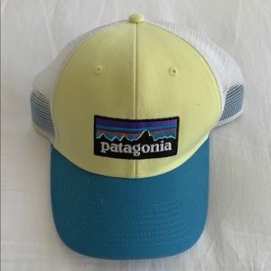 Patagonia trucker hat